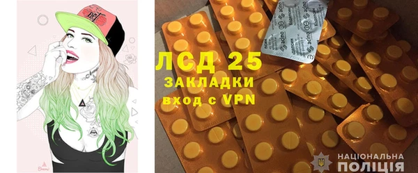 PSILOCYBIN Мегион