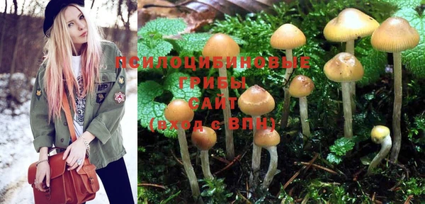 PSILOCYBIN Мегион
